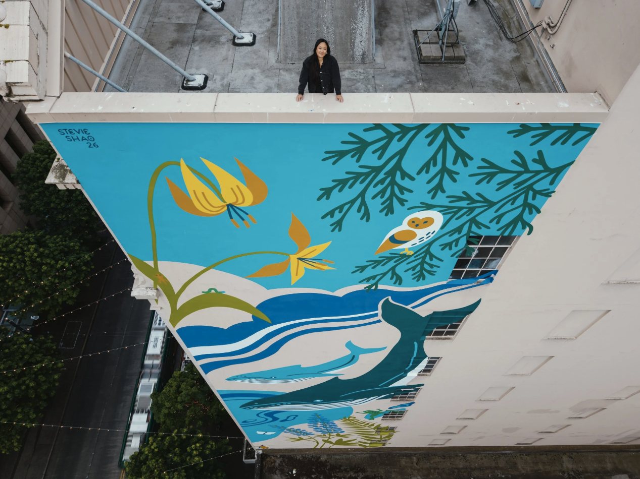 Aerial view of Stevie Shao's World Cup mural with the artist on the roof